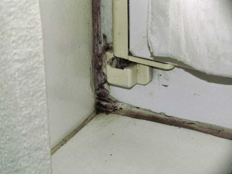 Zum Klueverbaum Hotel 2*